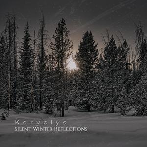 Silent Winter Reflections