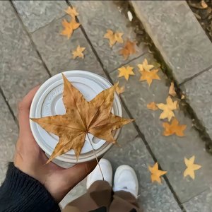 1_《青春旋律》.wav