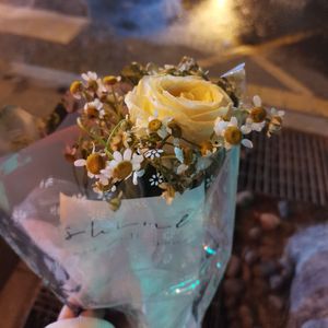 老公公老婆婆(Live)_cover朱主爱