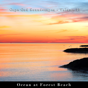Cape Cod Soundscapes, Vol. 25: Ocean at Forest Beach Pt. 8