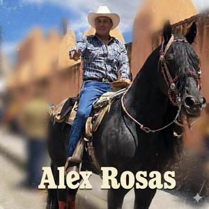 Soy el compa Alejandro (feat. Alex Rosas)