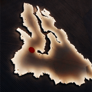 Из ЯНАО прямиком