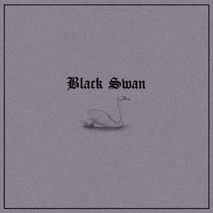 Black Swan (Violin)