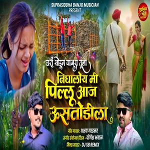 Ghari Sodun Pakhra Tula Nighaloy Mi Pillu Aaj Ustodila