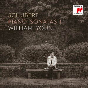 Piano Sonata No. 14 in A Minor, D. 784:III. Allegro vivace