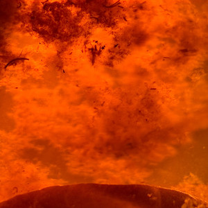 What the Hell Is on Earth?