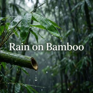 Rain on Bamboo