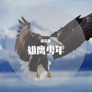 雄鹰少年