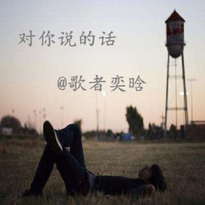 对你说的话