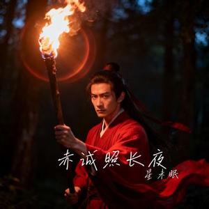 赤诚照长夜