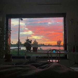 太多的爱（too much）