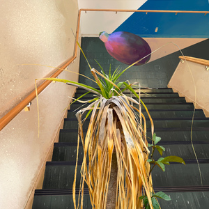 アートアンドマインド