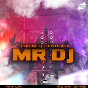 MrDj (Radio Edit)