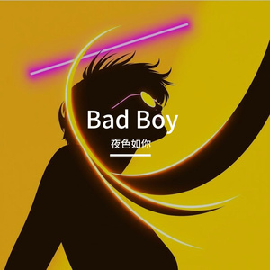 Bad Boy （坏男孩）