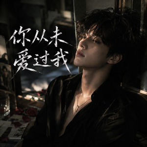 你从未爱过我