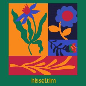 Hissettim