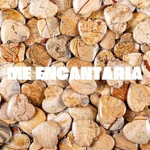 Me Encantaria