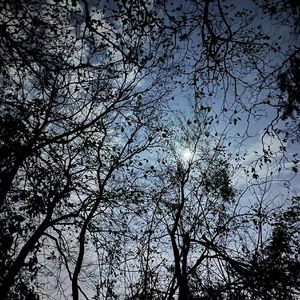 恒温动物（prod by 牙刷/MG）