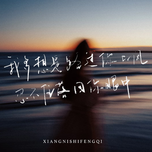 想你时风起
