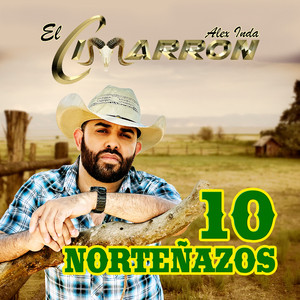 Vestida de Color de Rosa (Norteño)