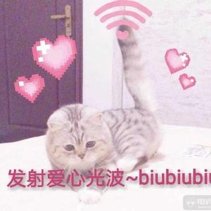 开心就giao（翻自 黑猫警长Giao哥）