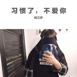 习惯了，不爱你