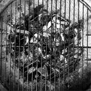 Throw Another Banjo On the Fire (Forest Boss)