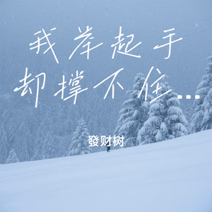 我举起手却撑不住荒凉