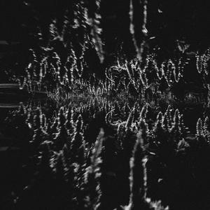 ̶I̶ ̶K̶N̶O̶W̶ ̶U̶ ̶W̶A̶N̶T̶ ̶I̶T̶(̶J̶U̶S̶T̶ ̶T̶A̶K̶E̶ ̶A̶ ̶S̶H̶O̶T̶)̶ (SLOW + REVERB)