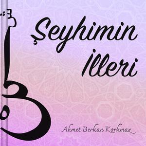 Şeyhimin İlleri - Gitar