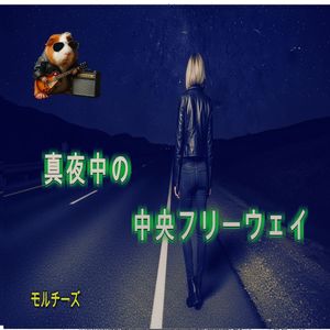真夜中の中央フリーウェイ