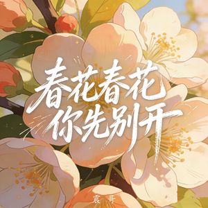 春花春花你先别开