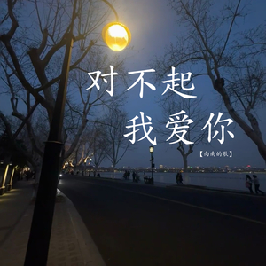 对不起 我爱你