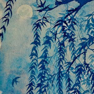 朝花夕拾(authentic voice)