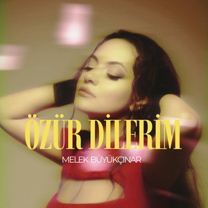 Özür Dilerim