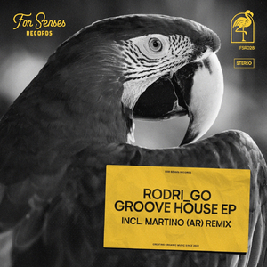 Groove House (Martino AR Remix)