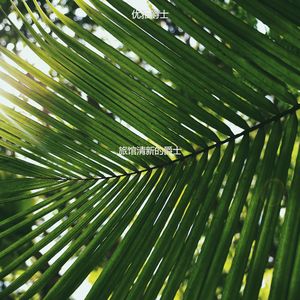 适合酒店放松的音乐