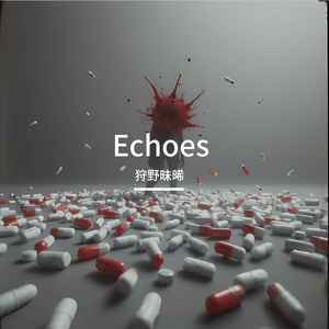 Echoes （Prod EVO Music）