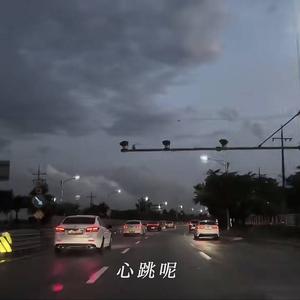 遗失的心跳(烟嗓)