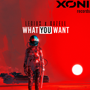 What You Want (Original Mix)