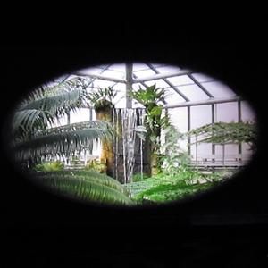 já vím, NIKDY JSME NEOPUSTILI ZAHRADu snů