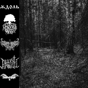 Forest of My Thoughts