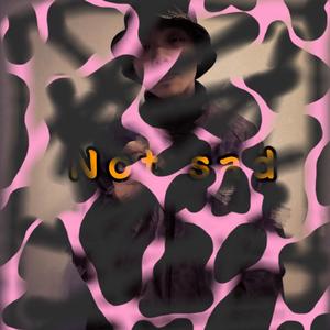 [Free Beat] Not Sad (prod by.西潼）