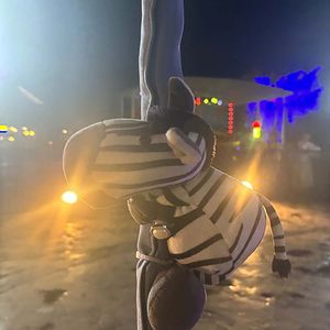 没有你的时光里