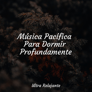 Aceptación Pacífica