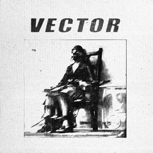 Vector