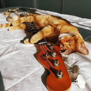 Karstā sieviete (feat. Snails&Mushrooms) (Long edition Special Version)