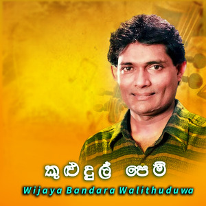 Kuludulma Pem