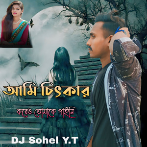 আমি চিৎকার করেও তোমাকে পাইনি