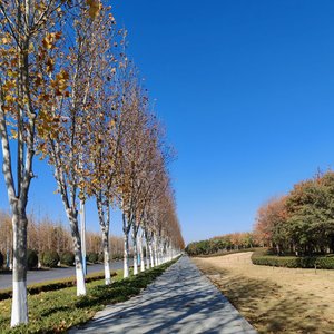 未寄出的歉意_85842154147499520_1767790393505